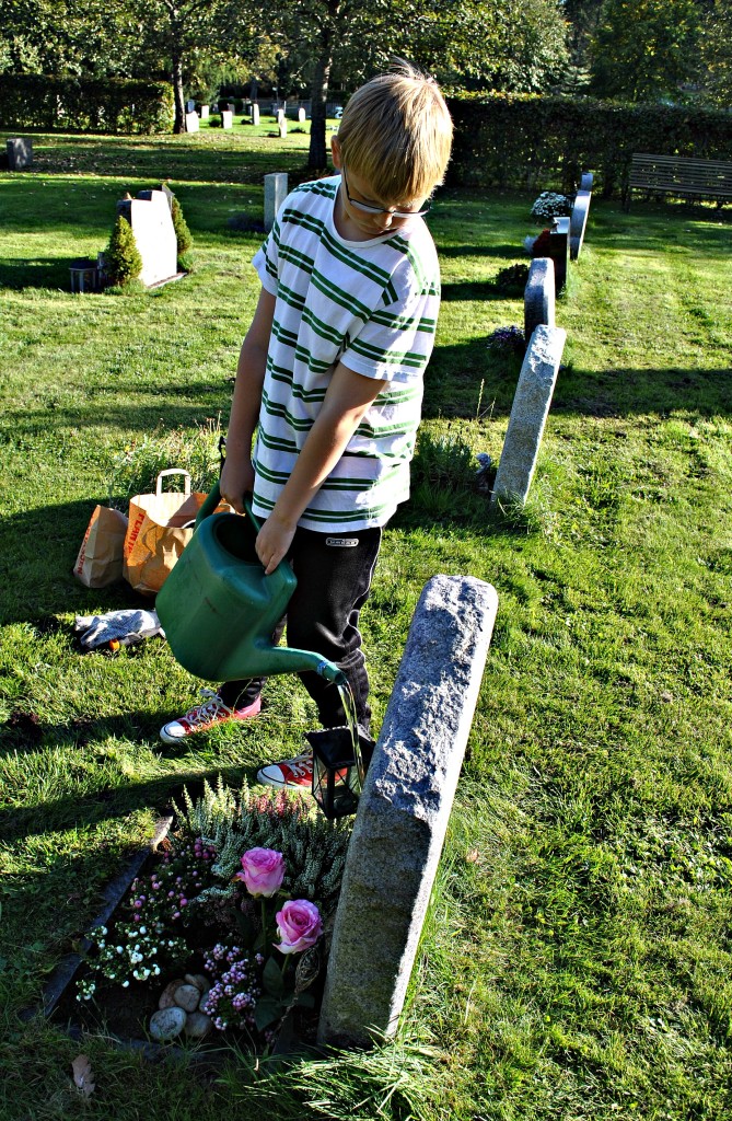 Theo kirkegård 2